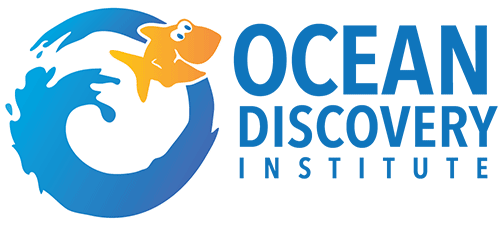 Ocean Discovery logo